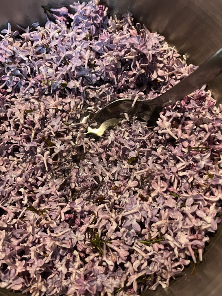 Lilac syrup steeping