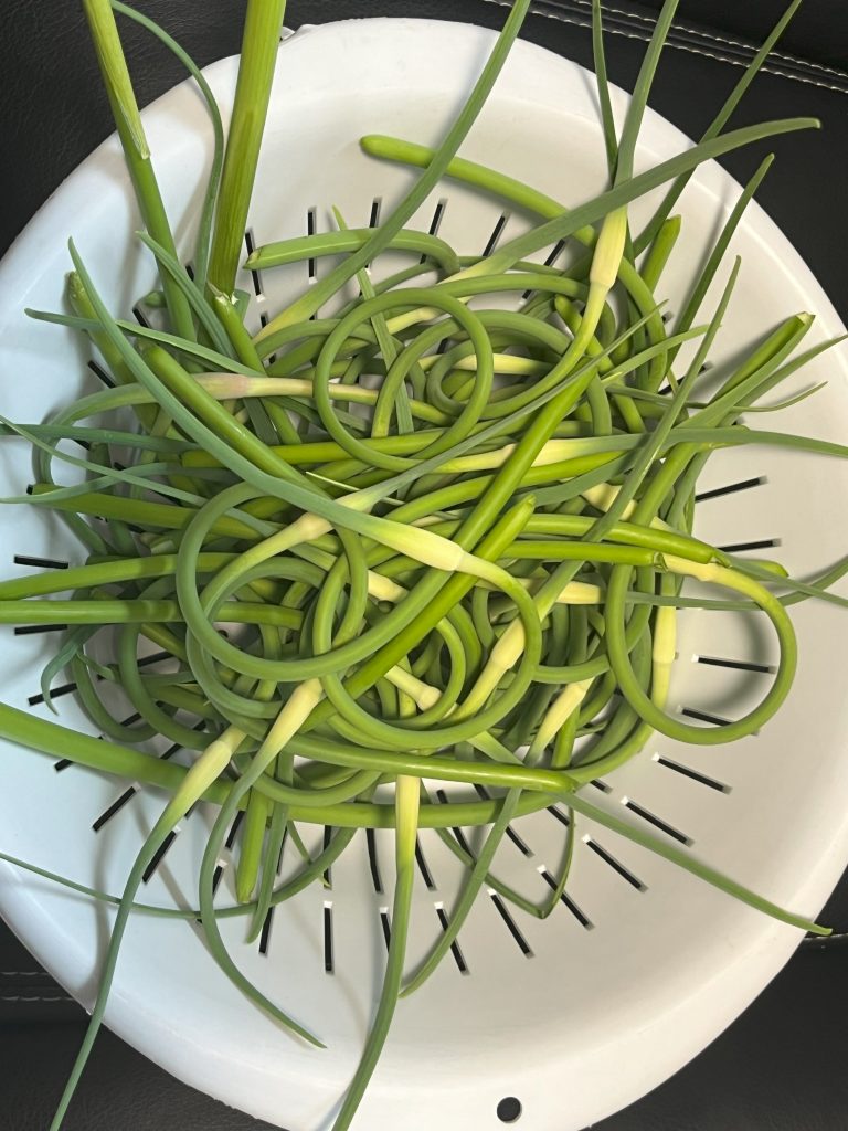 garlic scapes in a collander