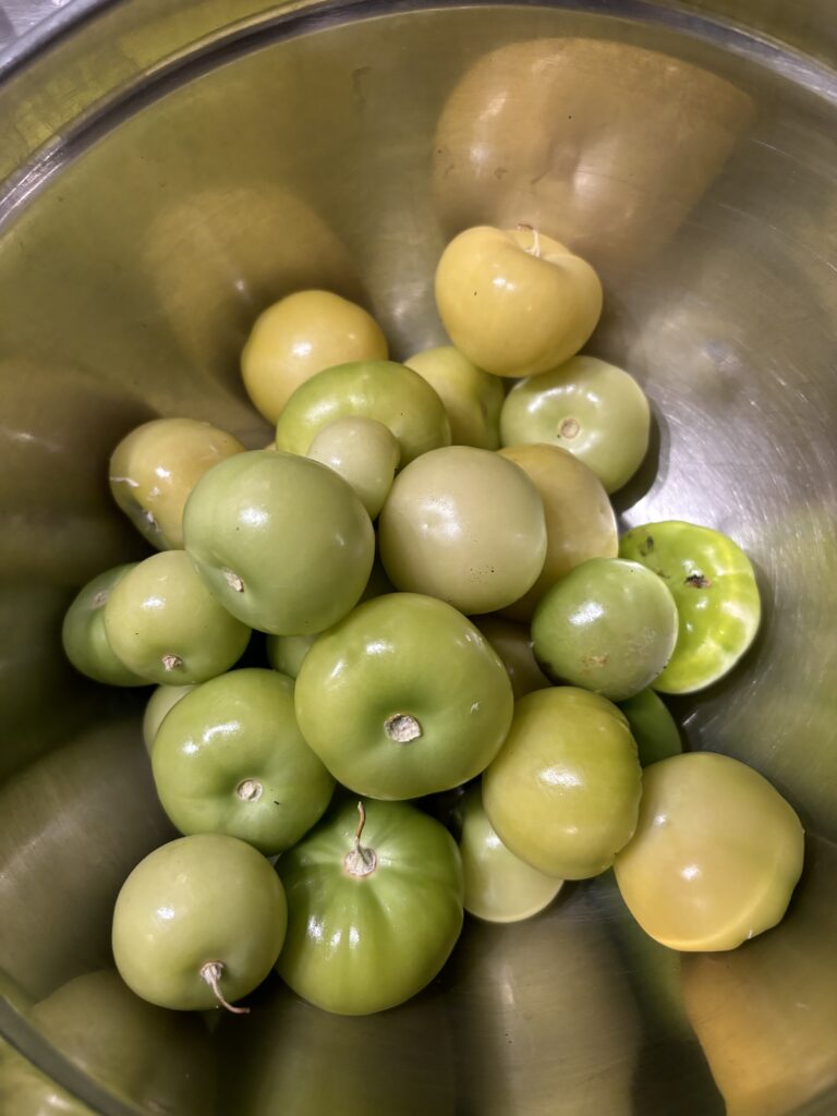 tomatillos for salsa verde